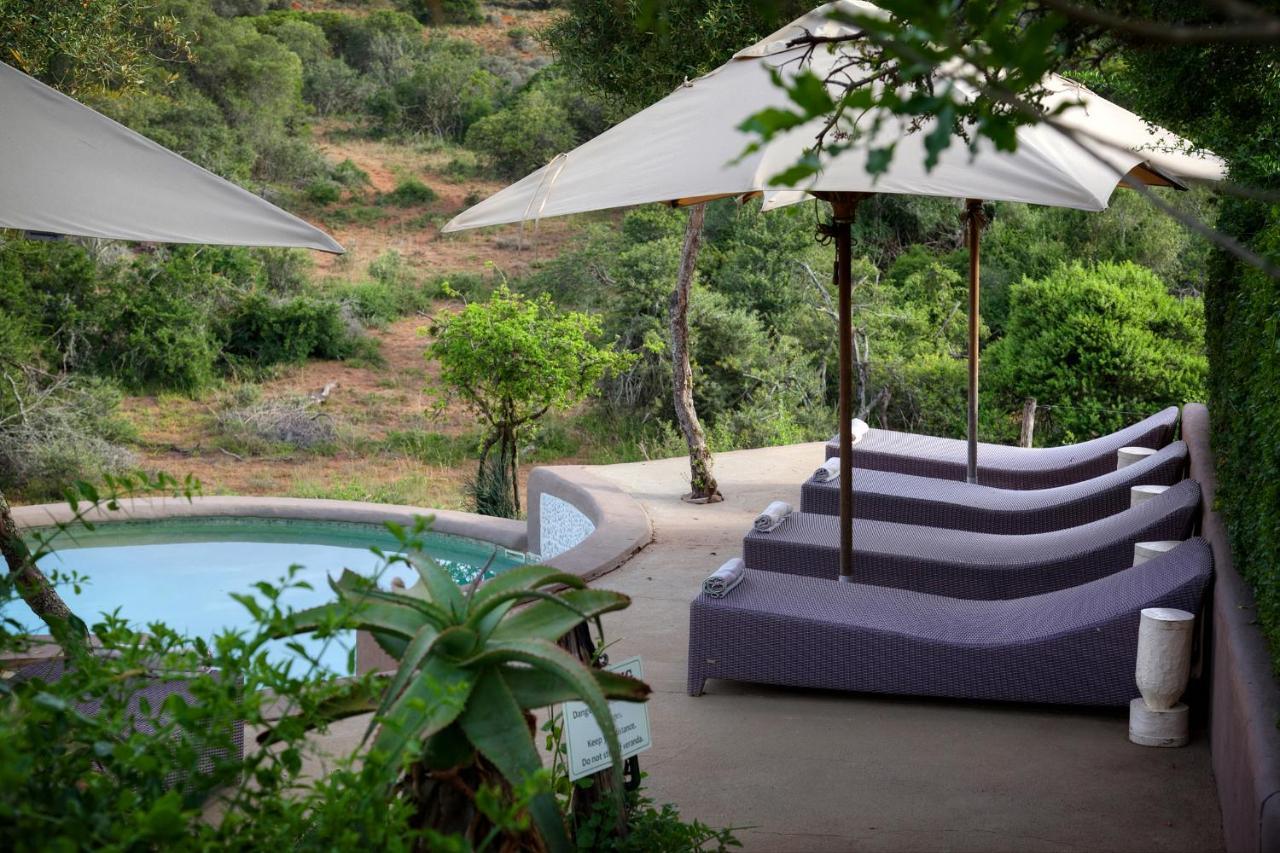 Safari Lodge - Amakhala Wildreservaat Buitenkant foto