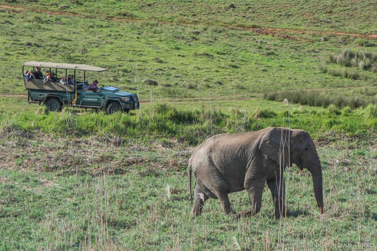 Safari Lodge - Amakhala Wildreservaat Buitenkant foto
