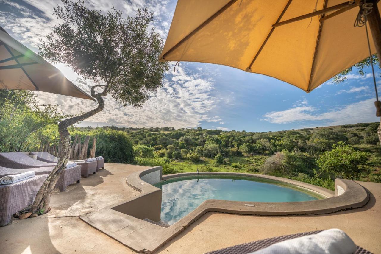 Safari Lodge - Amakhala Wildreservaat Buitenkant foto